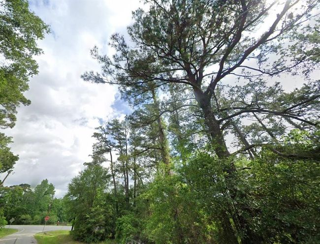 0 N Fm 3083 Rd W, Home with 0 bedrooms, 0 bathrooms and null parking in Conroe TX | Image 15