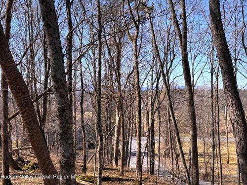 110 Marcott Rd, Kingston, NY, 12401-8305 | Card Image