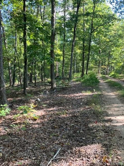 176 Madison St, Fredericktown, MO, 63645 | Card Image