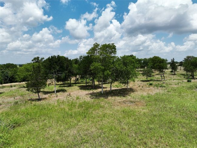 0000 Mcelroy Ln, Home with 0 bedrooms, 0 bathrooms and null parking in New Ulm TX | Image 8