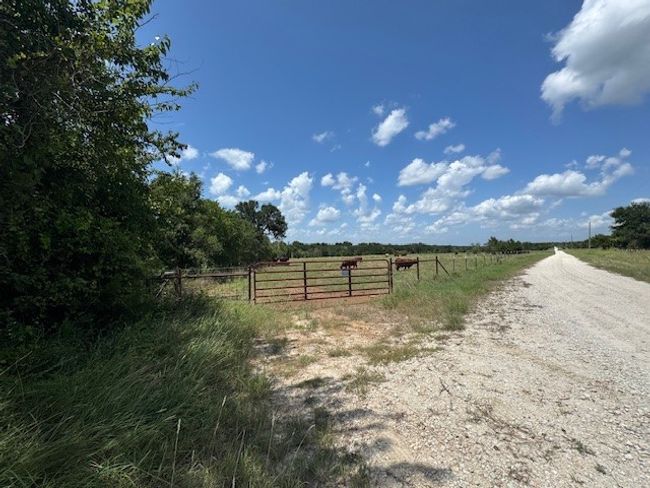 first gate entrance | Image 7
