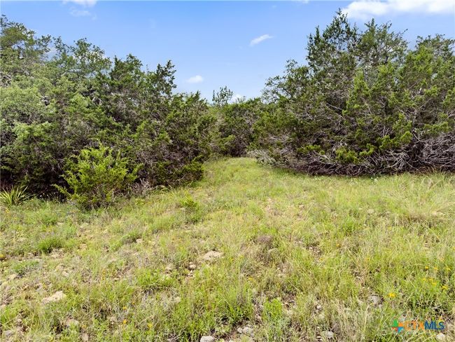 141 Vista View Pl, Home with 0 bedrooms, 0 bathrooms and null parking in Spring Branch TX | Image 13