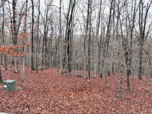 Lot 8 Buckskin Ridge, Highlandville, MO, 65669 | Card Image