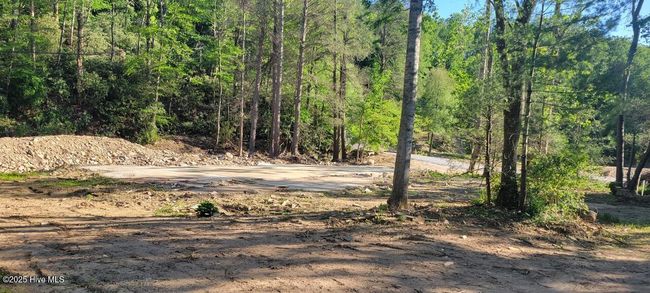 1229 Bee Tree Rd, Home with 0 bedrooms, 0 bathrooms and null parking in Swannanoa NC | Image 5