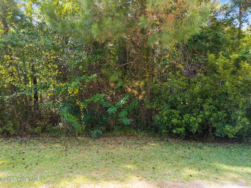 2445 Driftwood Acres Dr Sw, Supply, NC, 28462-2825 | Card Image