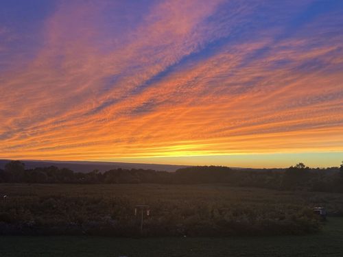 0 Wilson Lot 1 Road, Lansing, NY, 14882 | Card Image