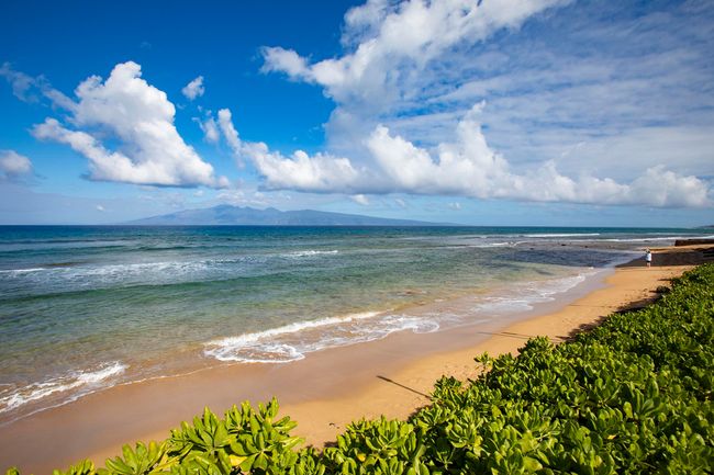 304 - 3445 Lower Honoapiilani Rd, Condo with 2 bedrooms, 2 bathrooms and null parking in Lahaina HI | Image 28