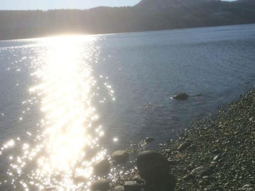 338 Harbour Rd, Coal Harbour, BC, V0N1K0 | Card Image