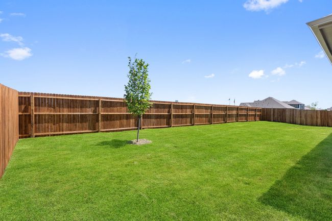 View of fenced backyard | Image 24