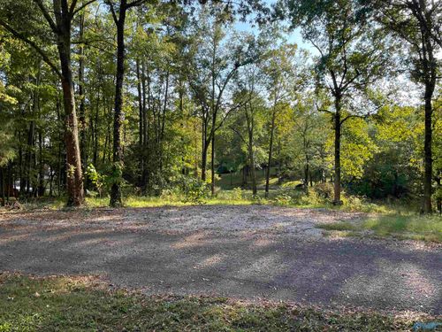 Lots 122 & 123 River Drive, Hollywood, AL, 35752 | Card Image