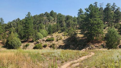 553 Coyote Run, Cotopaxi, CO, 81223 | Card Image