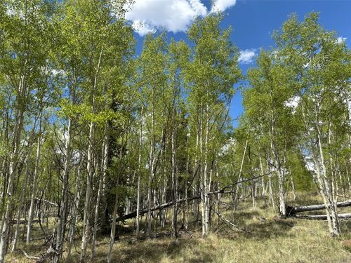 75 Ithaca Ln, Como, CO, 80432 | Card Image