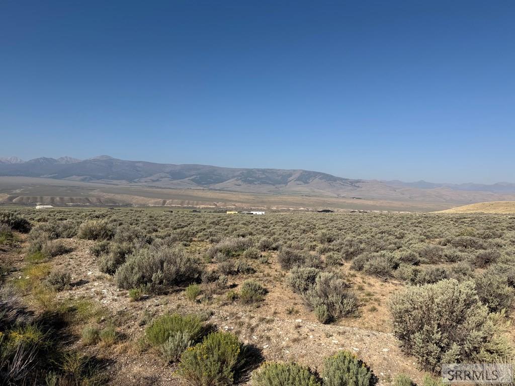 Land in Leadore 4