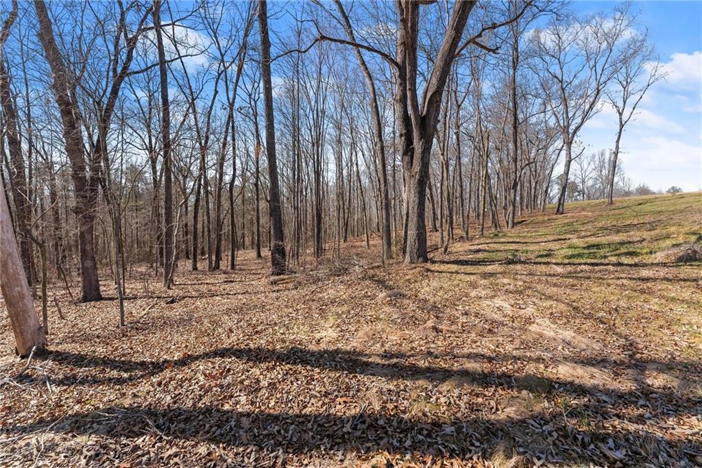 Land in Carnesville 5