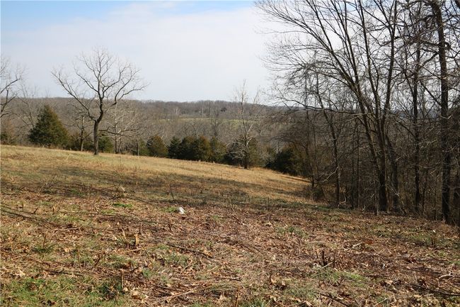 57 Sugar Creek Road, Home with 0 bedrooms, 0 bathrooms and null parking in Washburn MO | Image 20