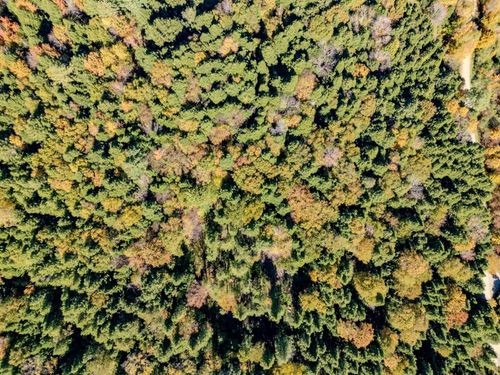 30 Bentley Ln, Jericho, VT, 05465-9632 | Card Image