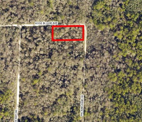 33464 Packingham Dr, WEBSTER, FL, 33597 | Card Image