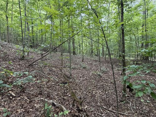 0 Deer Creek Rd, Linden, TN, 37096 | Card Image