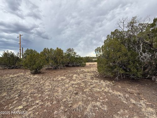 8319 Lakeside Dr, Show Low, AZ, 85901-7506 | Card Image