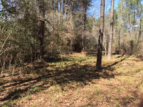 TBD Buffalo Ln, Silsbee, TX, 77656 | Card Image