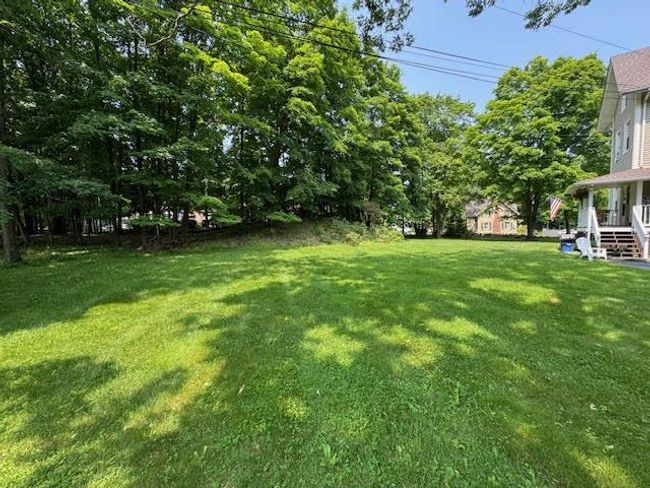 View of grassy yard | Image 35