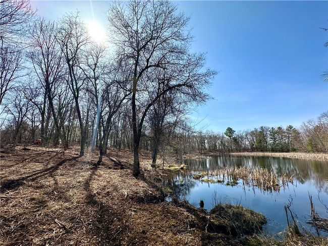 16 295th Street, Home with 0 bedrooms, 0 bathrooms and null parking in Holcombe WI | Image 4