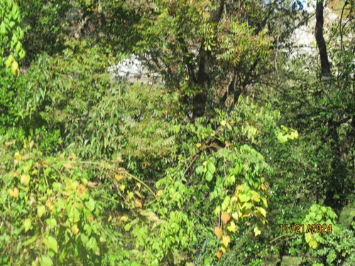 0 Club Manor Dr, Maumelle, AR, 72113 | Card Image