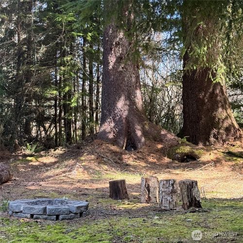 15500 Birch Street, Long Beach, WA, 98631 | Card Image