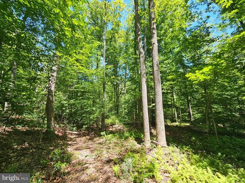 15 AC Manteo Road, Buckingham, VA, 23921 | Card Image