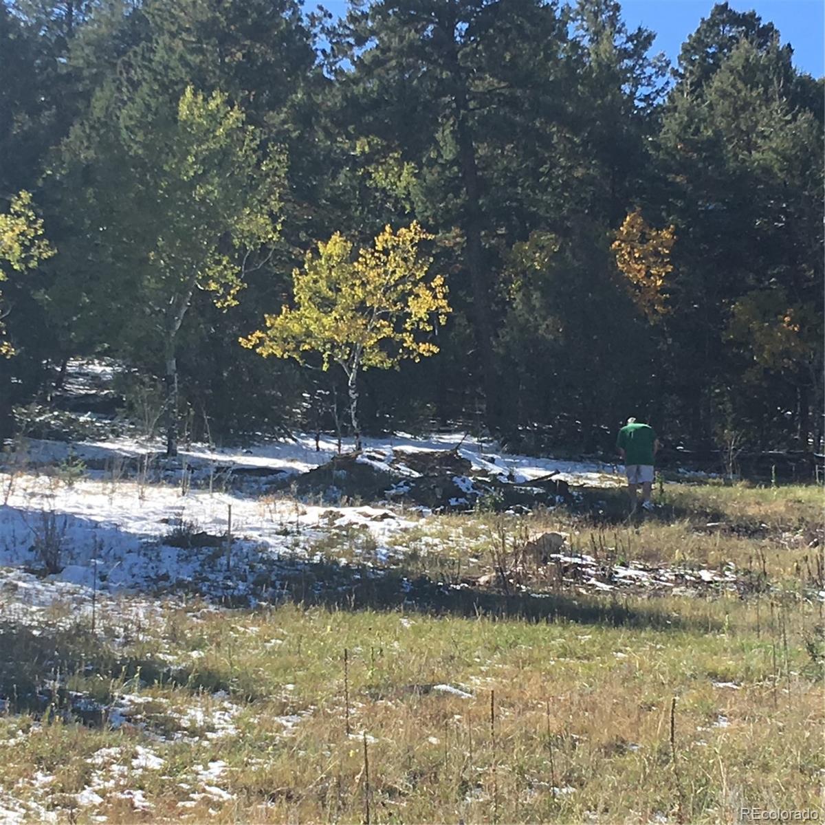 Land in Pine