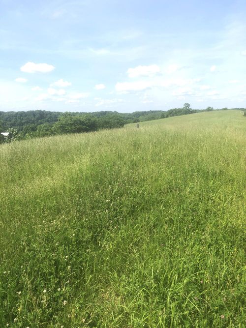 6 Chowning Ln, Bloomfield, KY, 40008-7236 | Card Image