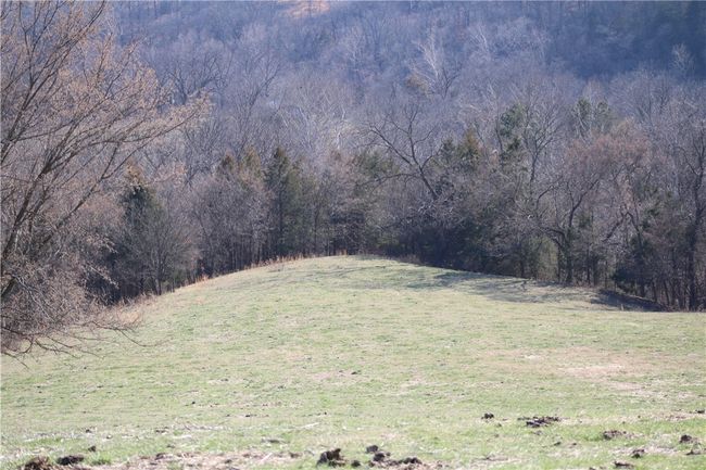 57 Sugar Creek Road, Home with 0 bedrooms, 0 bathrooms and null parking in Washburn MO | Image 28