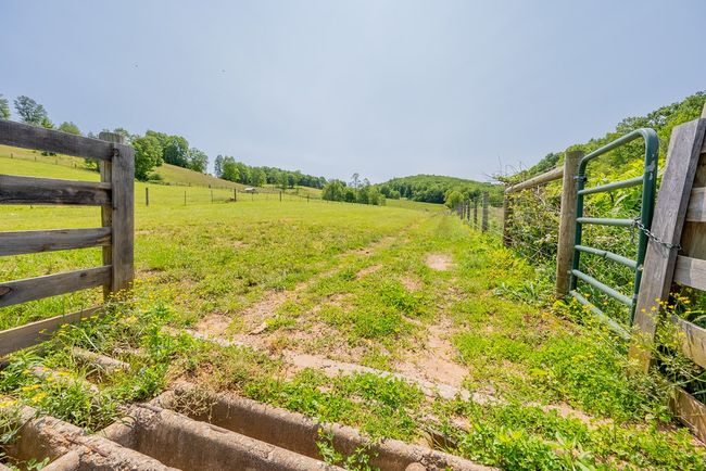 688 Gibson Knob Rd, Home with 0 bedrooms, 0 bathrooms and null parking in Laurel Fork VA | Image 96