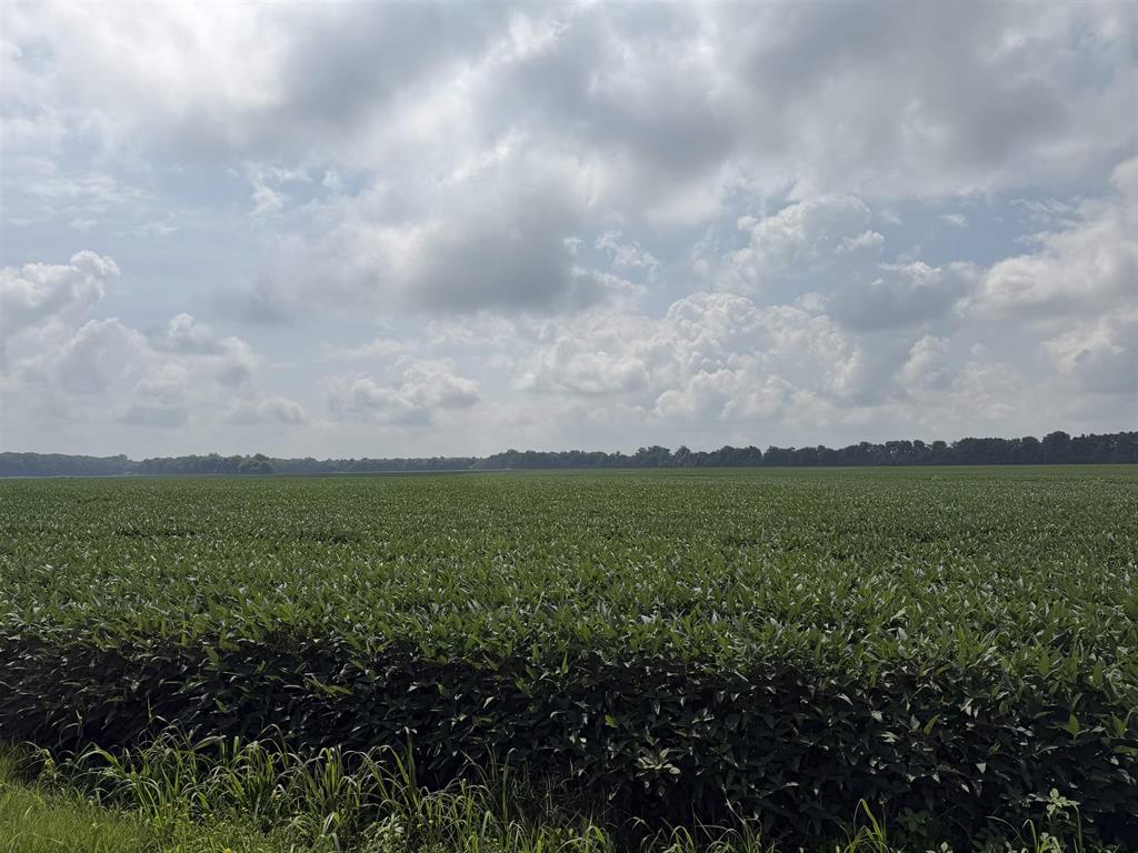 Land in Corydon 3