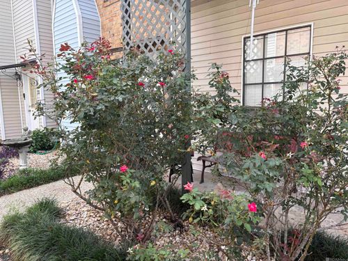 20-10926 Old Hammond Hwy, Baton Rouge, LA, 70816 | Card Image