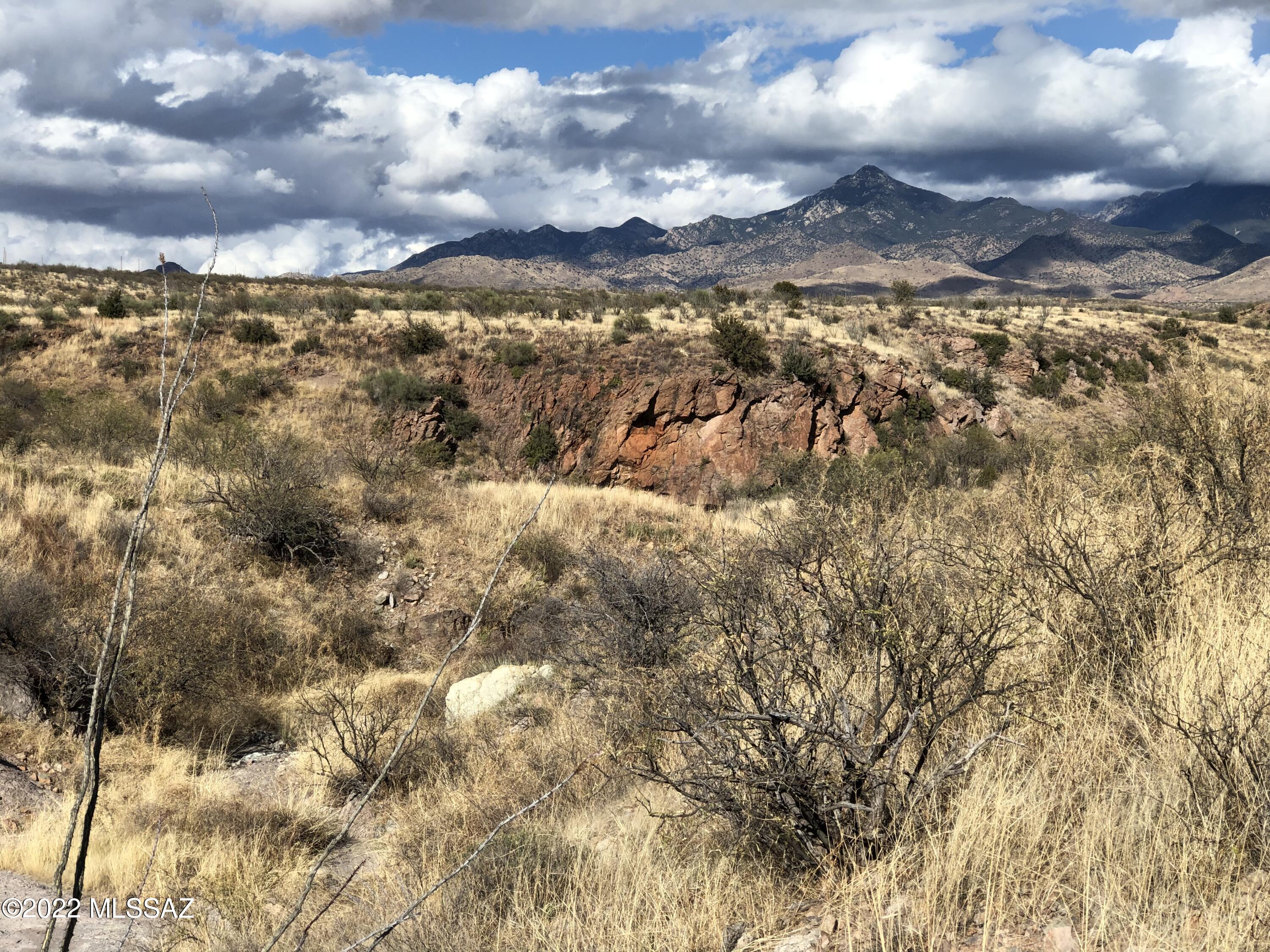 Land in Rio Rico 2
