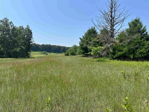 Parcel 3 Bright Road, Kasson Township, MI, 49664 | Card Image