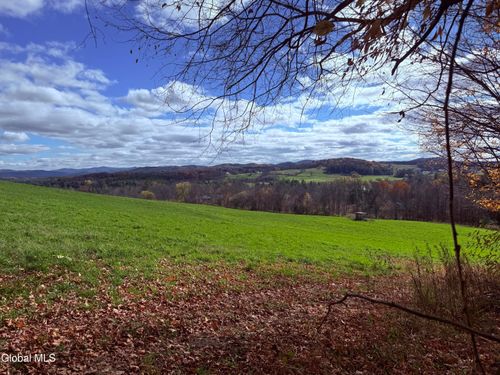 1585 Carlton Rd, Whitehall, NY, 12887-4161 | Card Image