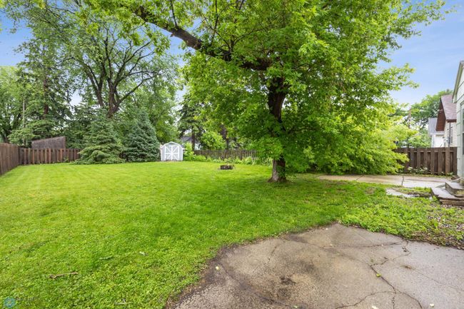 Back yard | Image 27