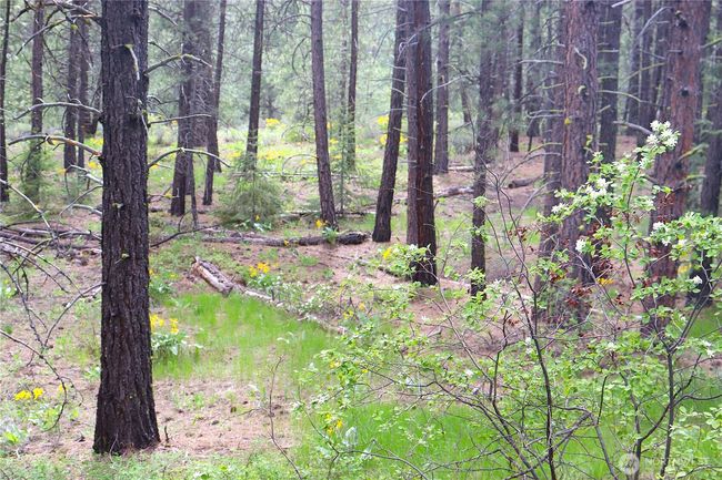 799 Twisp River Rd, Home with 0 bedrooms, 0 bathrooms and null parking in Twisp WA | Image 25