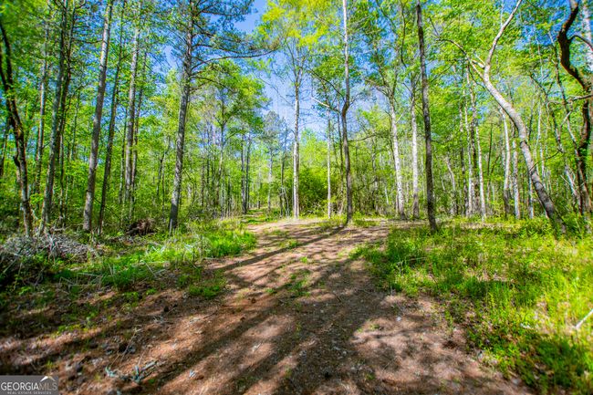 1975 Whooping Creek Rd, Home with 0 bedrooms, 0 bathrooms and null parking in Carrollton GA | Image 13