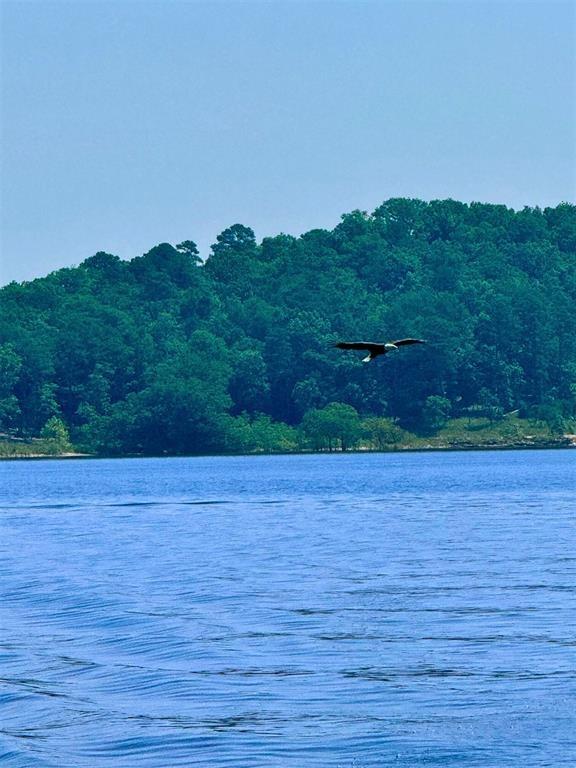 Land in Broken Bow 3