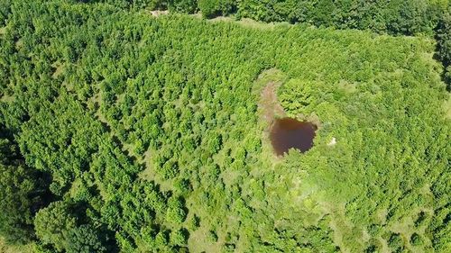 80 Sand Rd, Haworth, OK, 74740 | Card Image