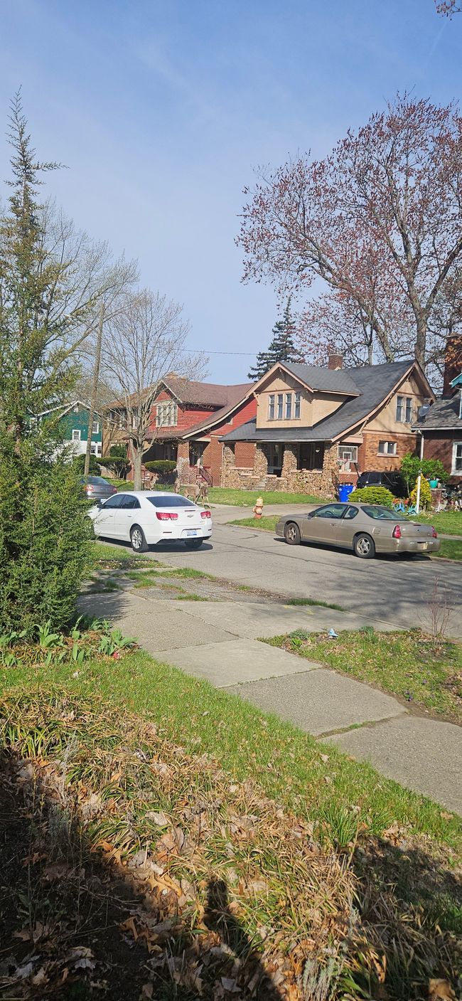 59 W Parkhurst Pl, House other with 5 bedrooms, 2 bathrooms and null parking in Detroit MI | Image 22