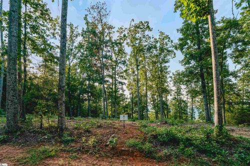 lot-5-200 Chestnut Mountain Rd, Travelers Rest, SC, 29690 | Card Image