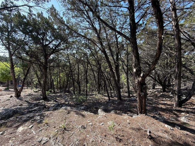 View of landscape | Image 14