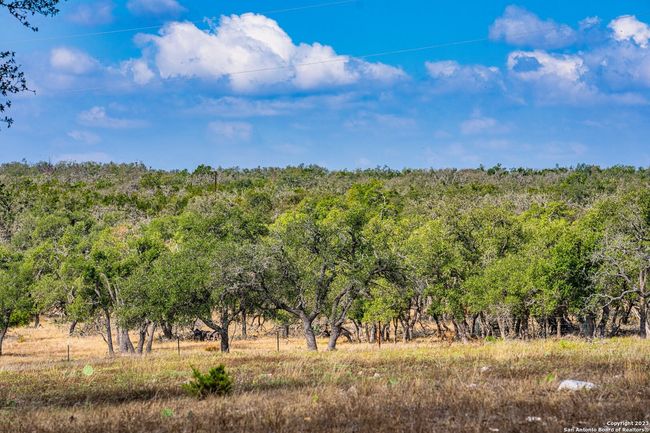 436 Stevens Ranch Rd, Home with 0 bedrooms, 0 bathrooms and null parking in Harper TX | Image 25