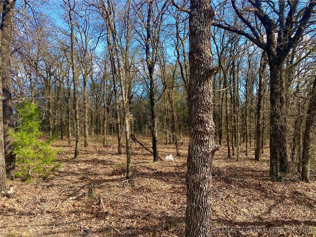 2 State Highway 76, Home with 0 bedrooms, 0 bathrooms and null parking in Wilson OK | Image 8