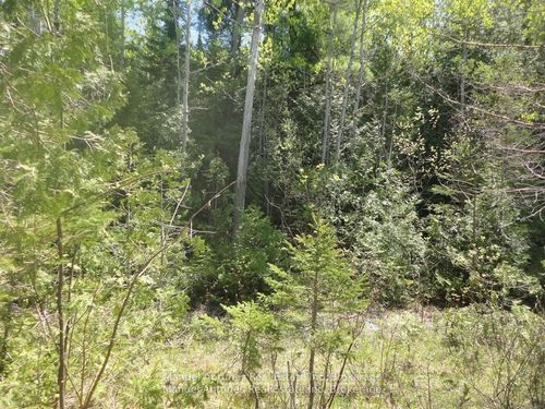 Lot 53 Bay Sands Drive, Wasaga Beach, ON, L9Z1V1 | Card Image