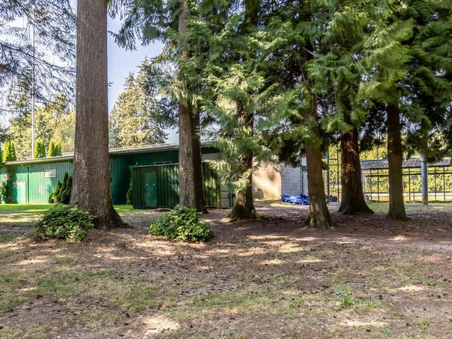 View of yard | Image 22